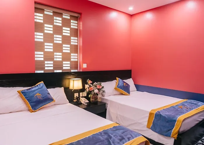 Hotel Alee Hạ Long