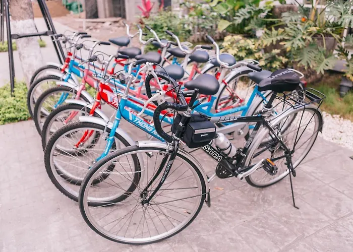 Hotel Alee Hạ Long